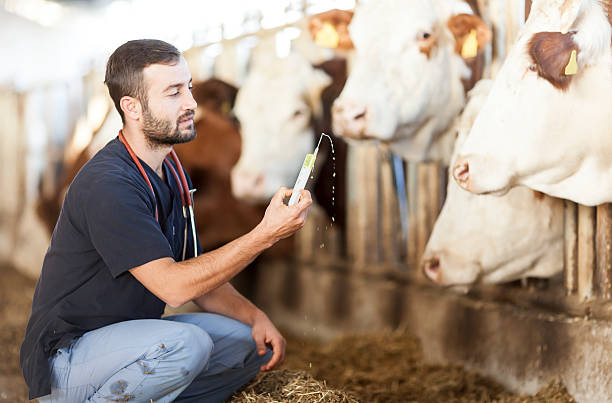 Livestock Dewormer