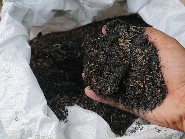 Organic Fertilizer 25kg